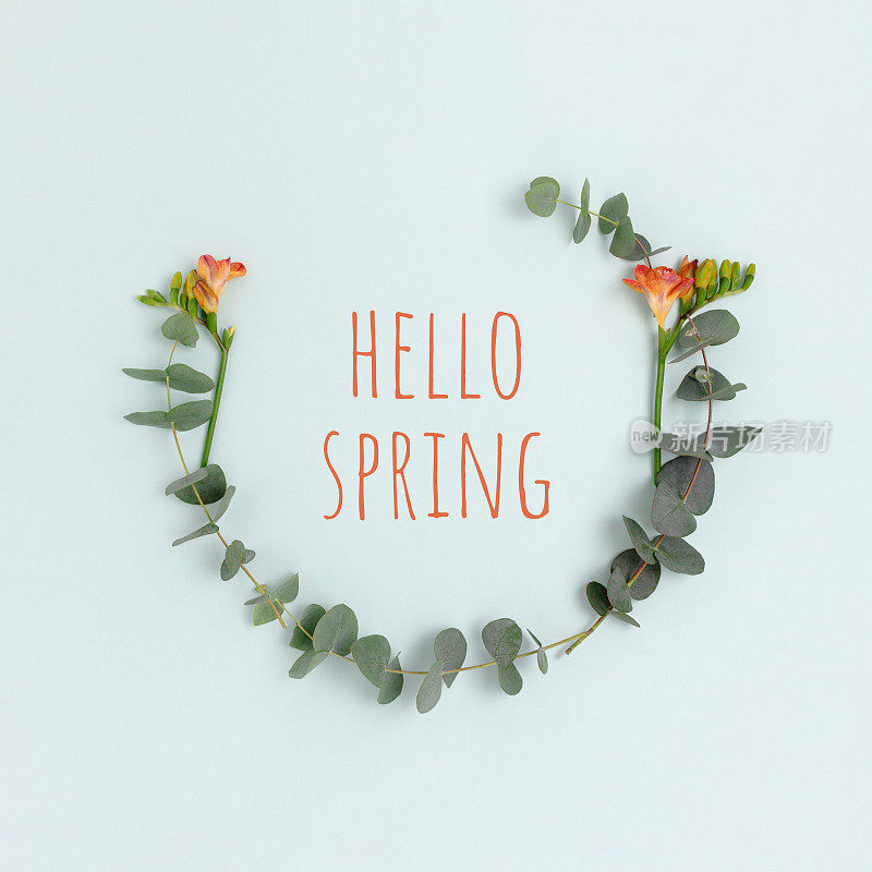 你好，spring - quote。圆形框架由桉树和小苍兰花制成。